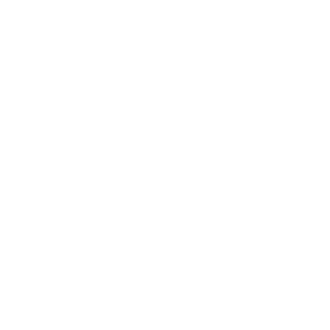 animexmusic WA Logo White